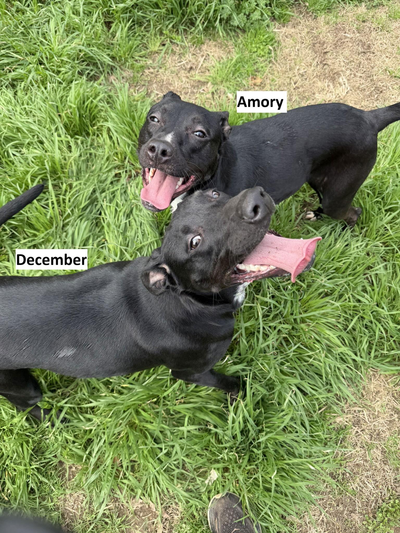 December — thumbnail 3