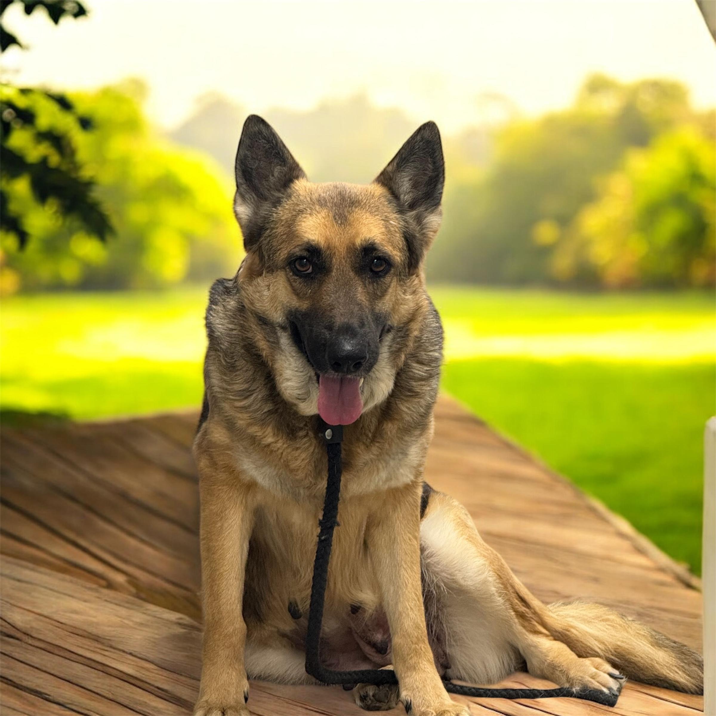 Sage — thumbnail 2