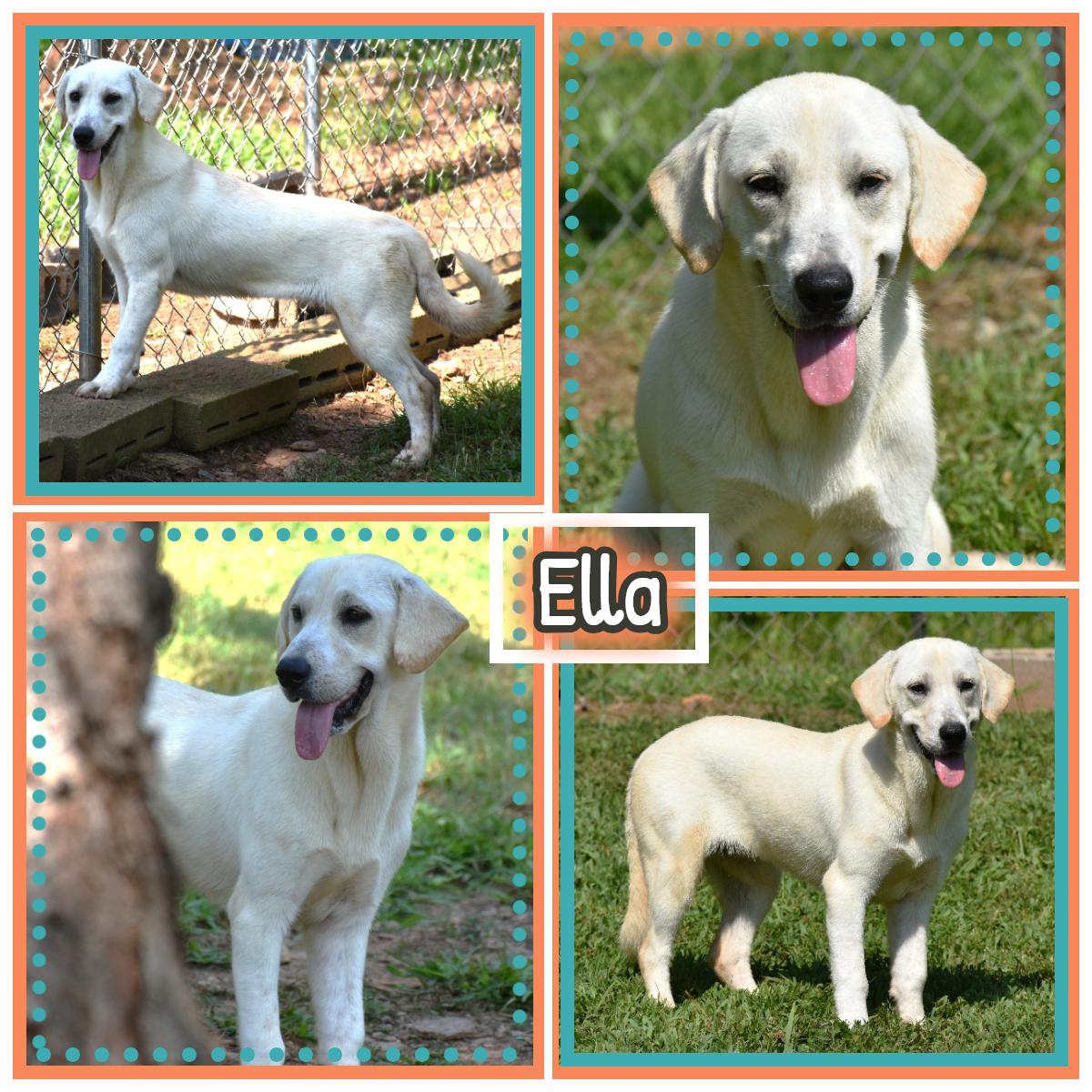 Ella