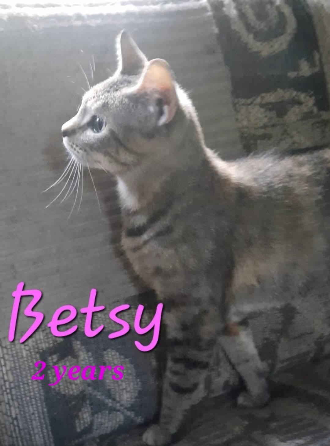 BETSY