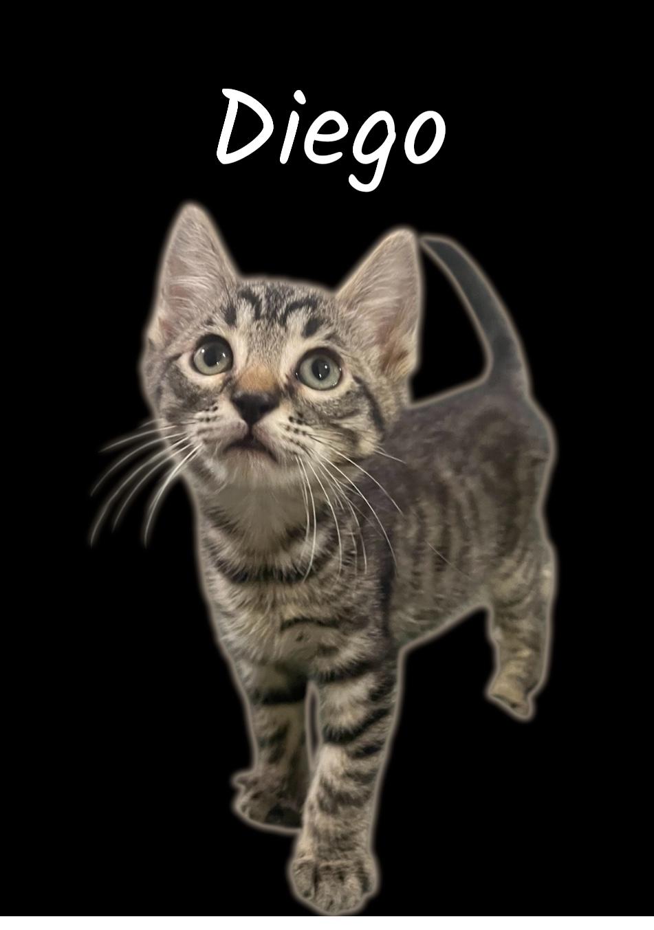 Diego