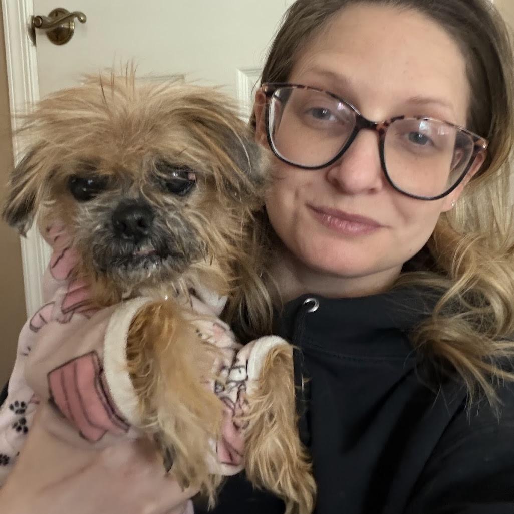 Enlarge Dumplin, a Adoptable mixed breed in Medford, NJ image 2/5