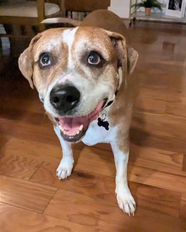 Chiquita — thumbnail 2