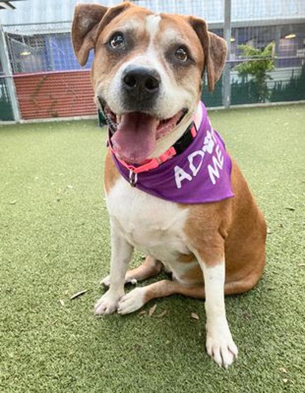 Chiquita — thumbnail 3