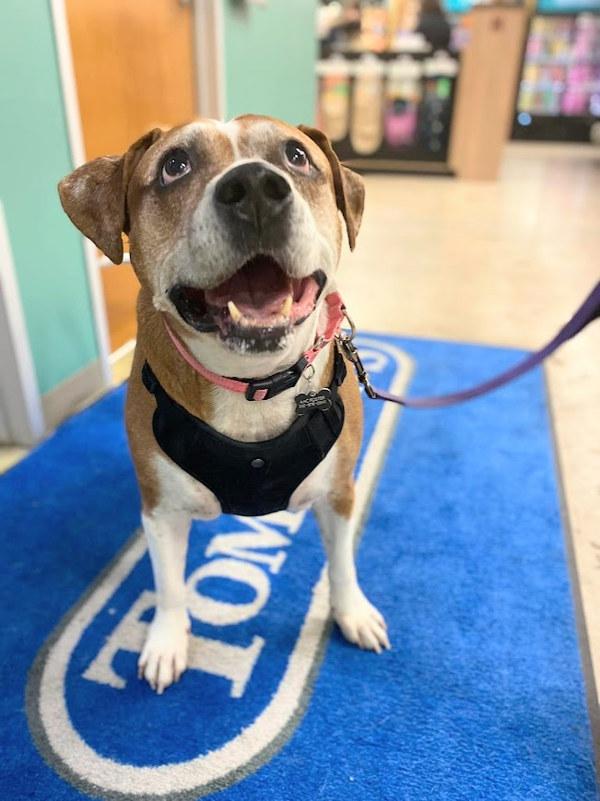 Chiquita — thumbnail 4