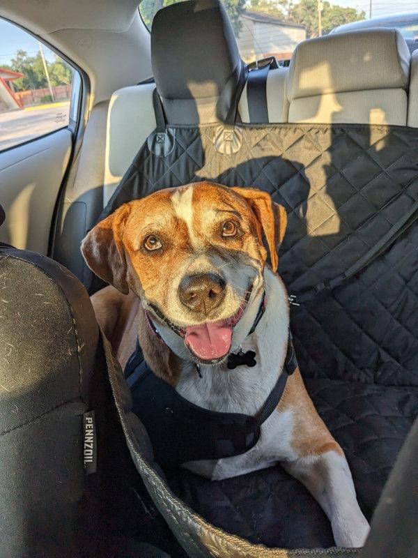 Chiquita — thumbnail 5