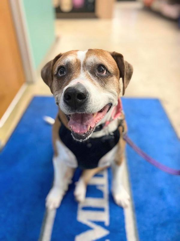 Chiquita — thumbnail 6