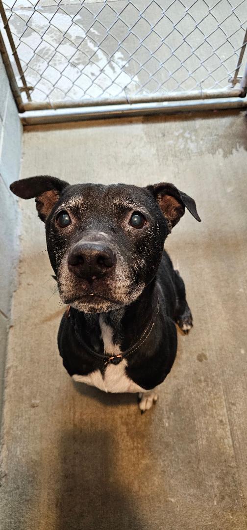 KEVIN — thumbnail 2