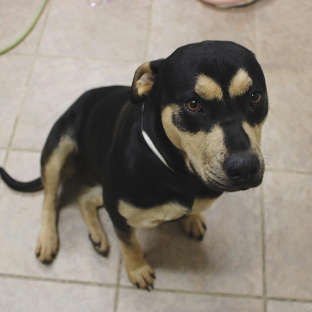 Heidi — thumbnail 2