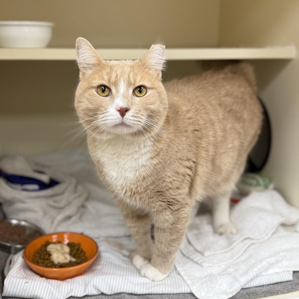 Sunny — thumbnail 2