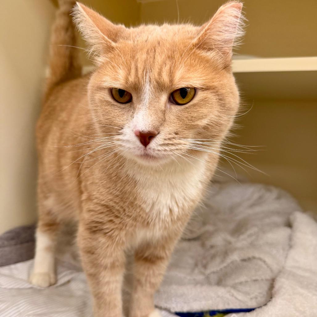 Sunny — thumbnail 3