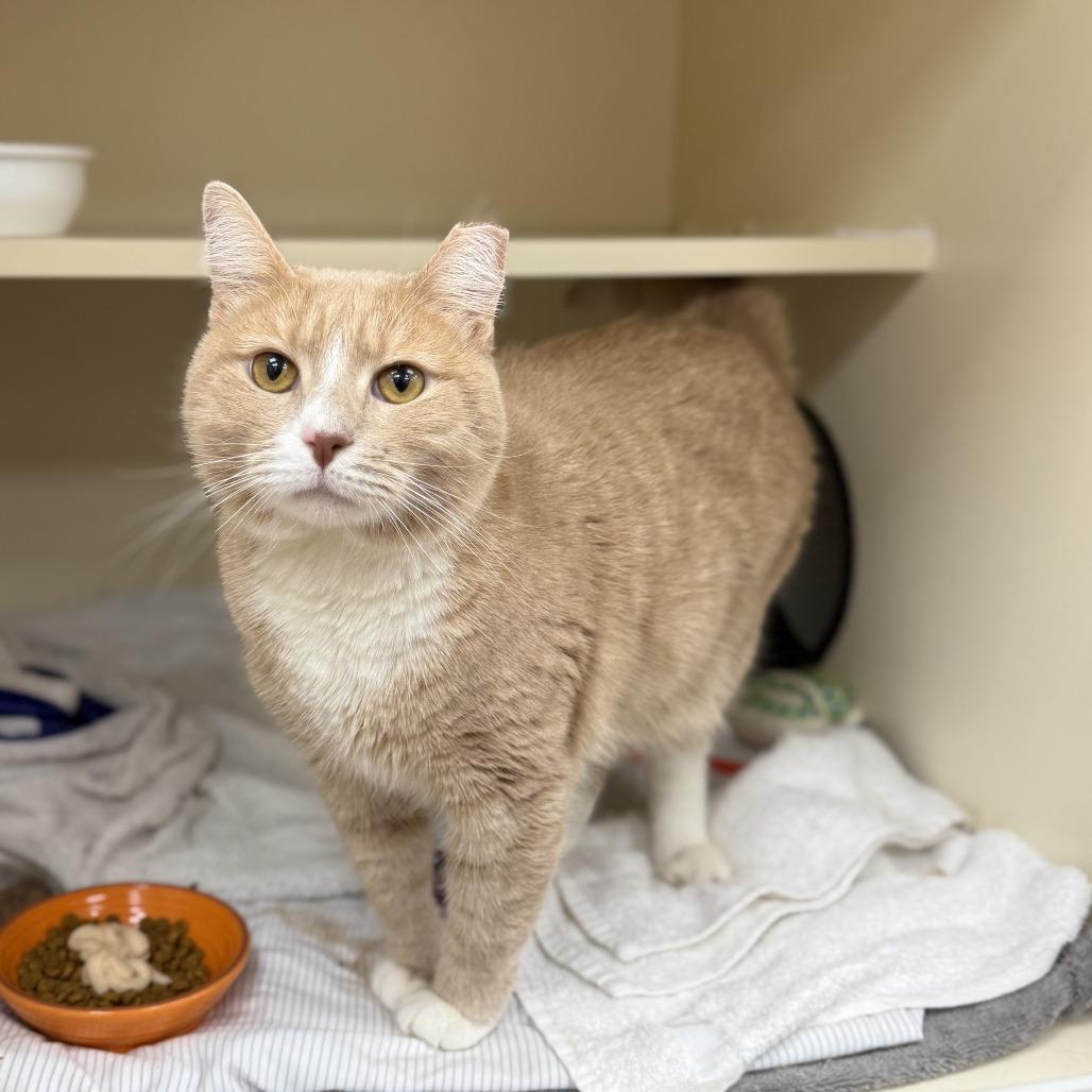 Sunny — thumbnail 4