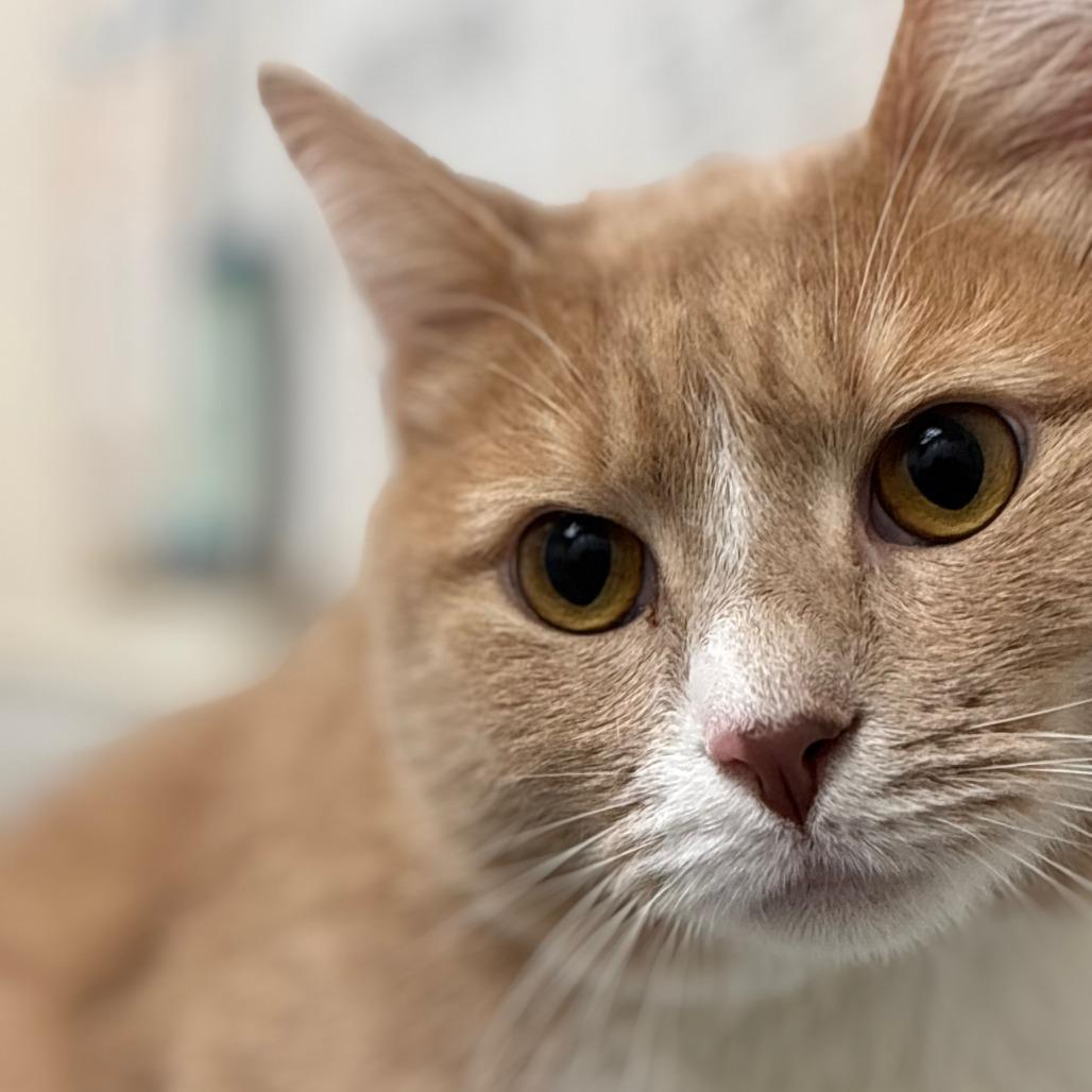 Sunny — thumbnail 5