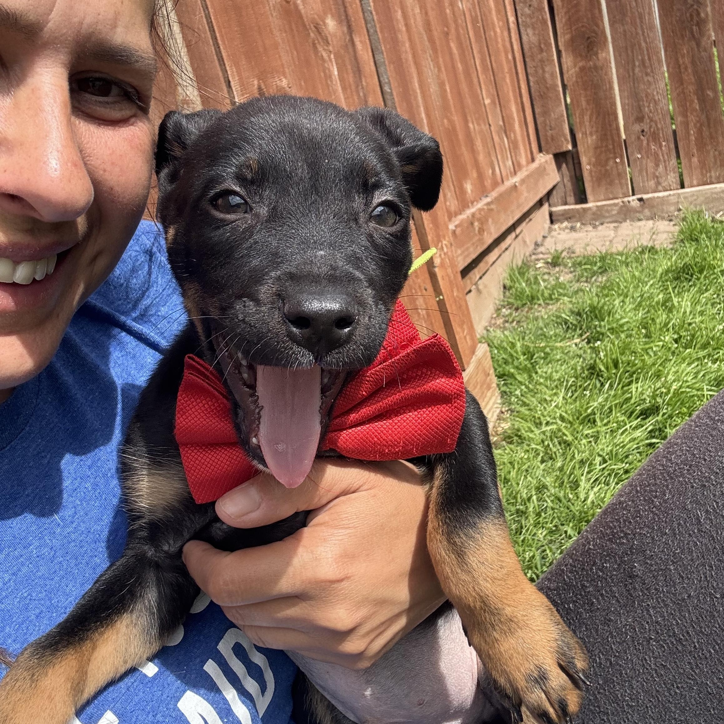 Marx Galaxy — thumbnail 3