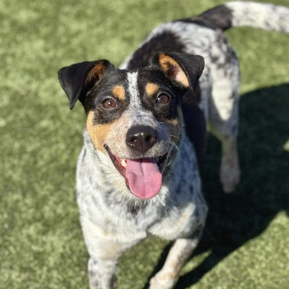 Karen Wheeler — thumbnail 2