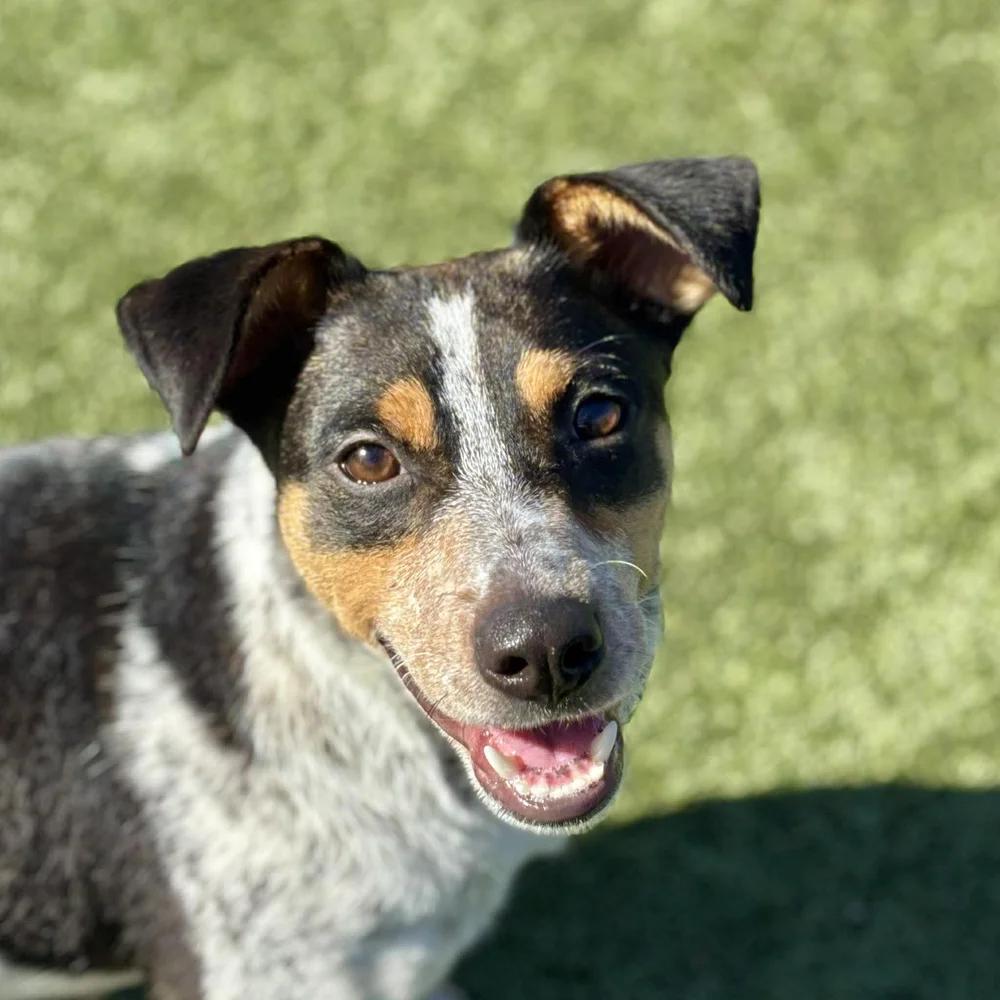 Karen Wheeler — thumbnail 3