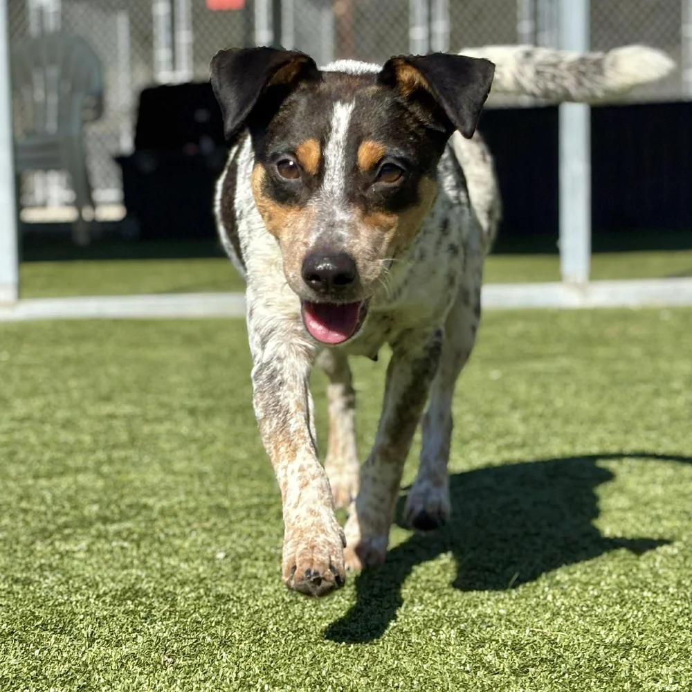 Karen Wheeler — thumbnail 4