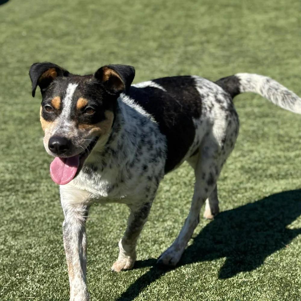 Karen Wheeler — thumbnail 5