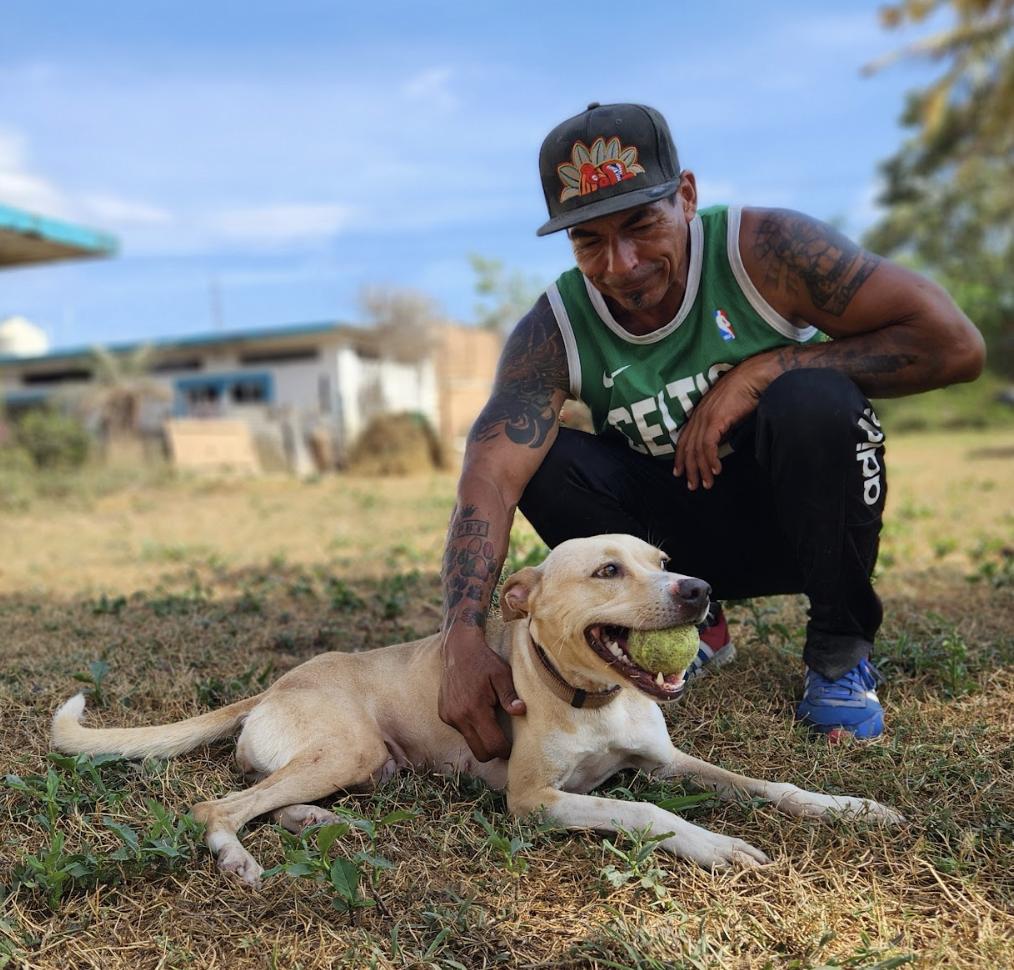 Enlarge Panchita, a Adoptable mixed breed in EL COLORADO, JAL image 3/6