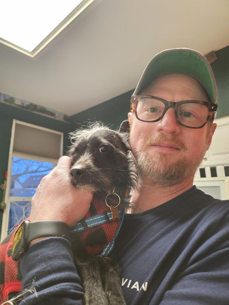 Enlarge BROCK, a Adoptable Terrier in Broomfield, CO image 2/2