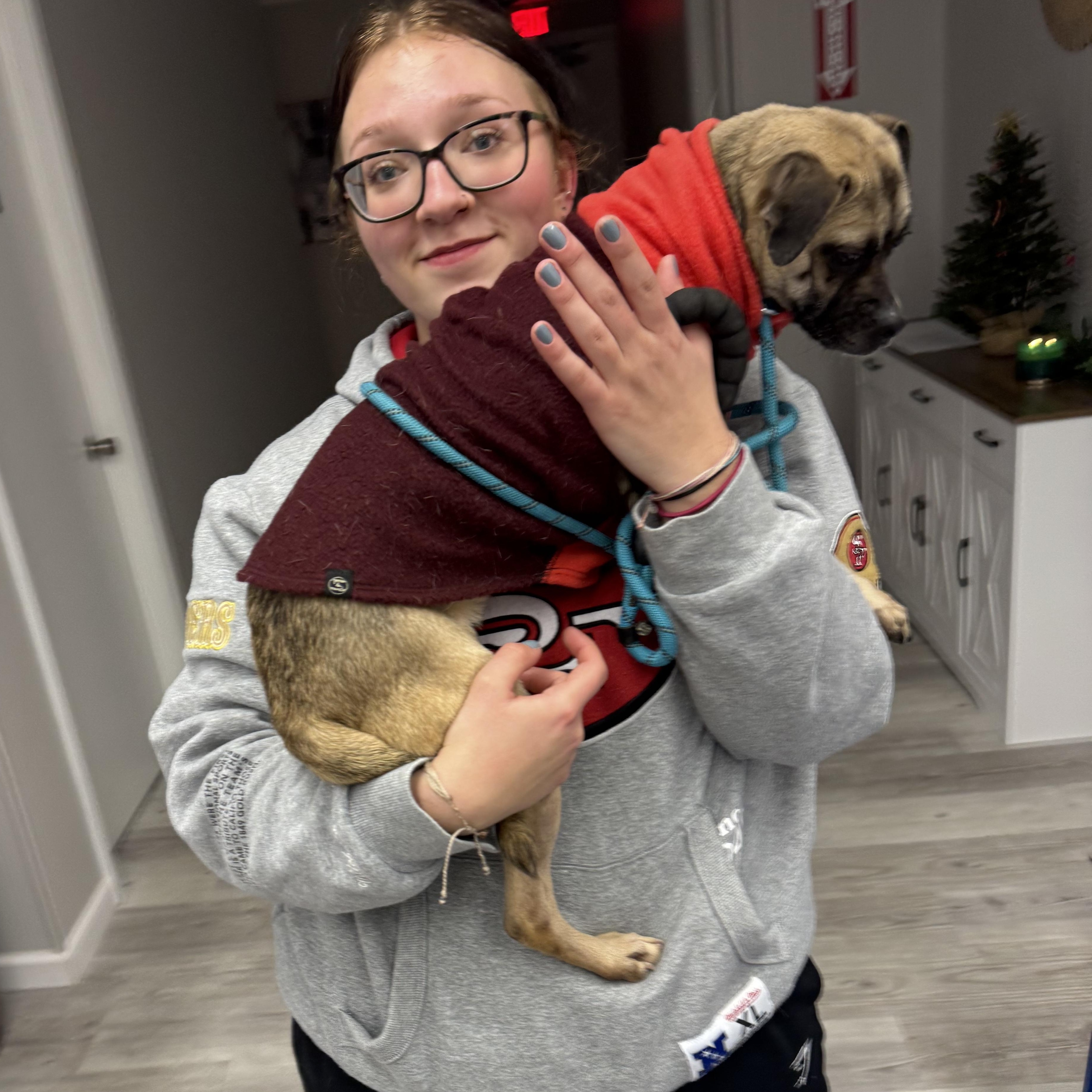 Bartola, a ADOPTABLE mixed breed in Hilton, NY image 3/3