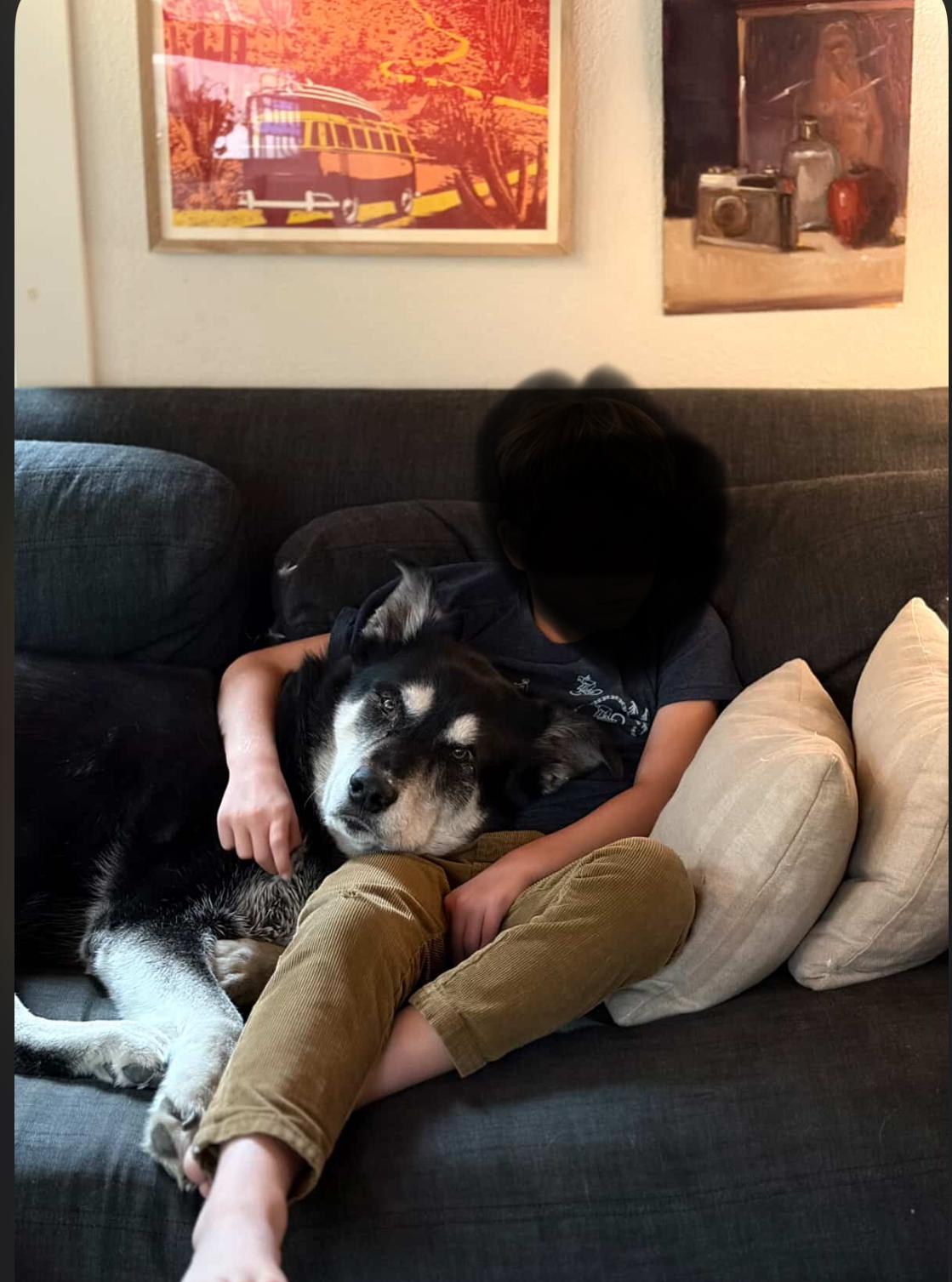 Enlarge Clementine, a Adoptable mixed breed in Powell Butte, OR image 6/6