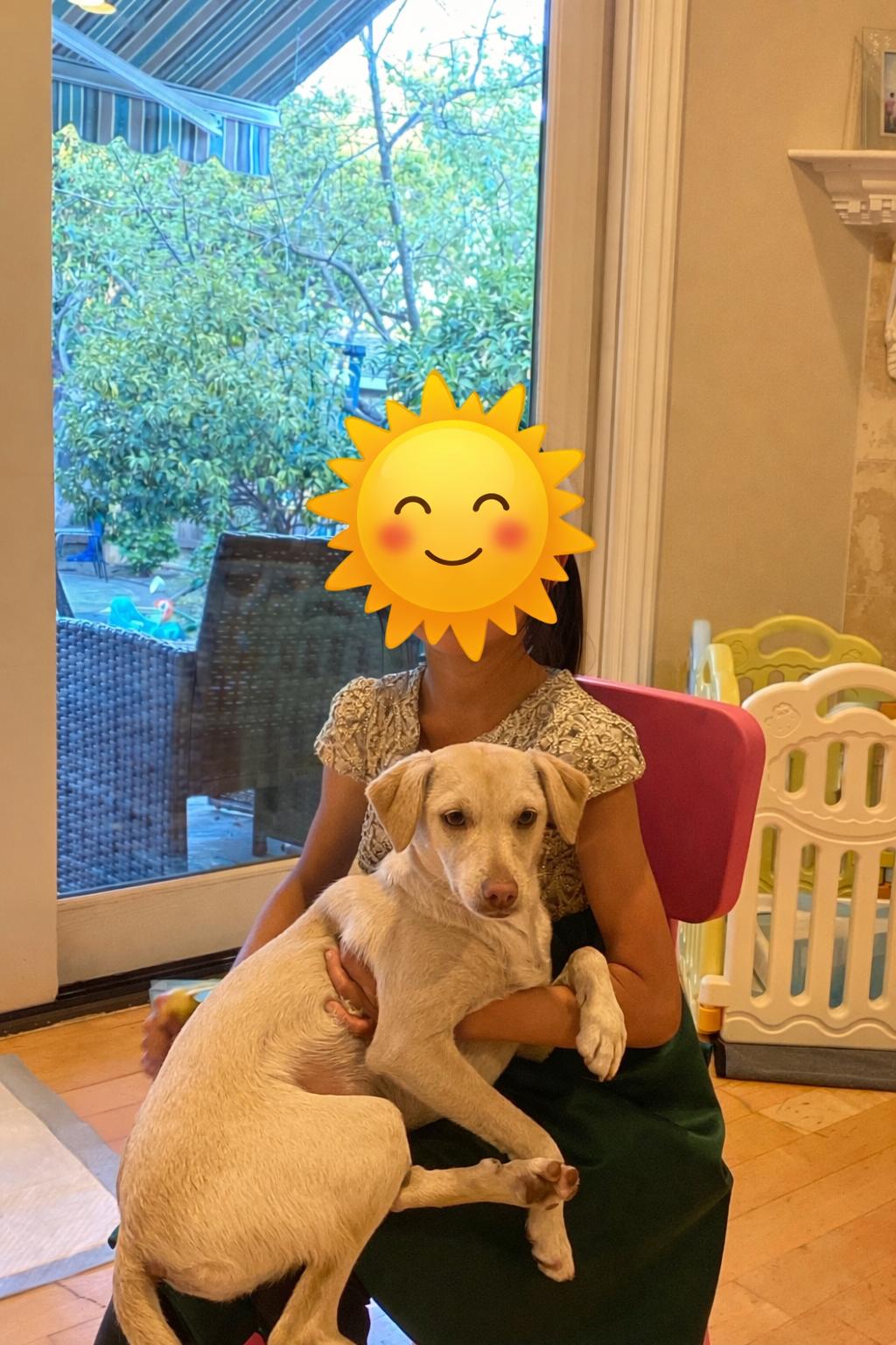 Enlarge Candy, a ADOPTABLE mixed breed in Oakley, CA image 4/4