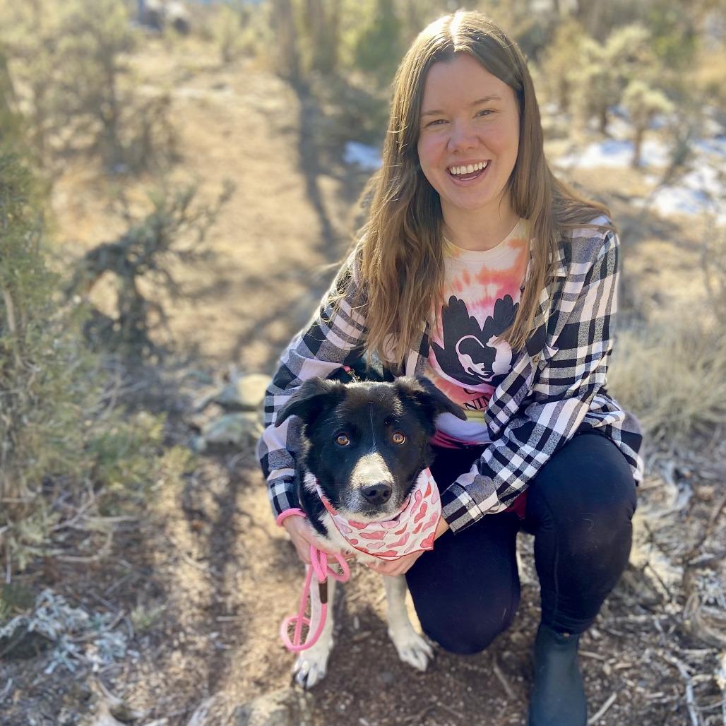 Enlarge Emme, a Adoptable Border Collie in Glenwood Springs, CO image 6/6