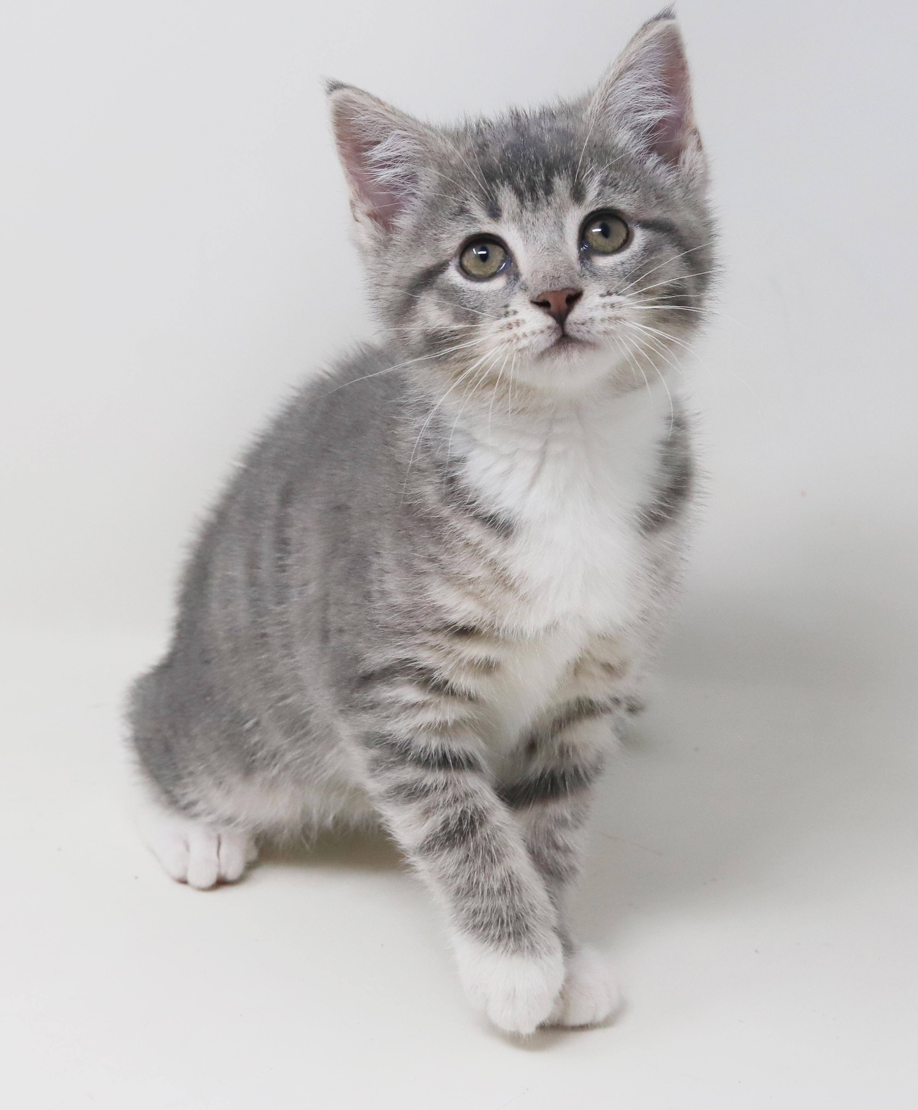 Bell And Doll  thumbnail 2