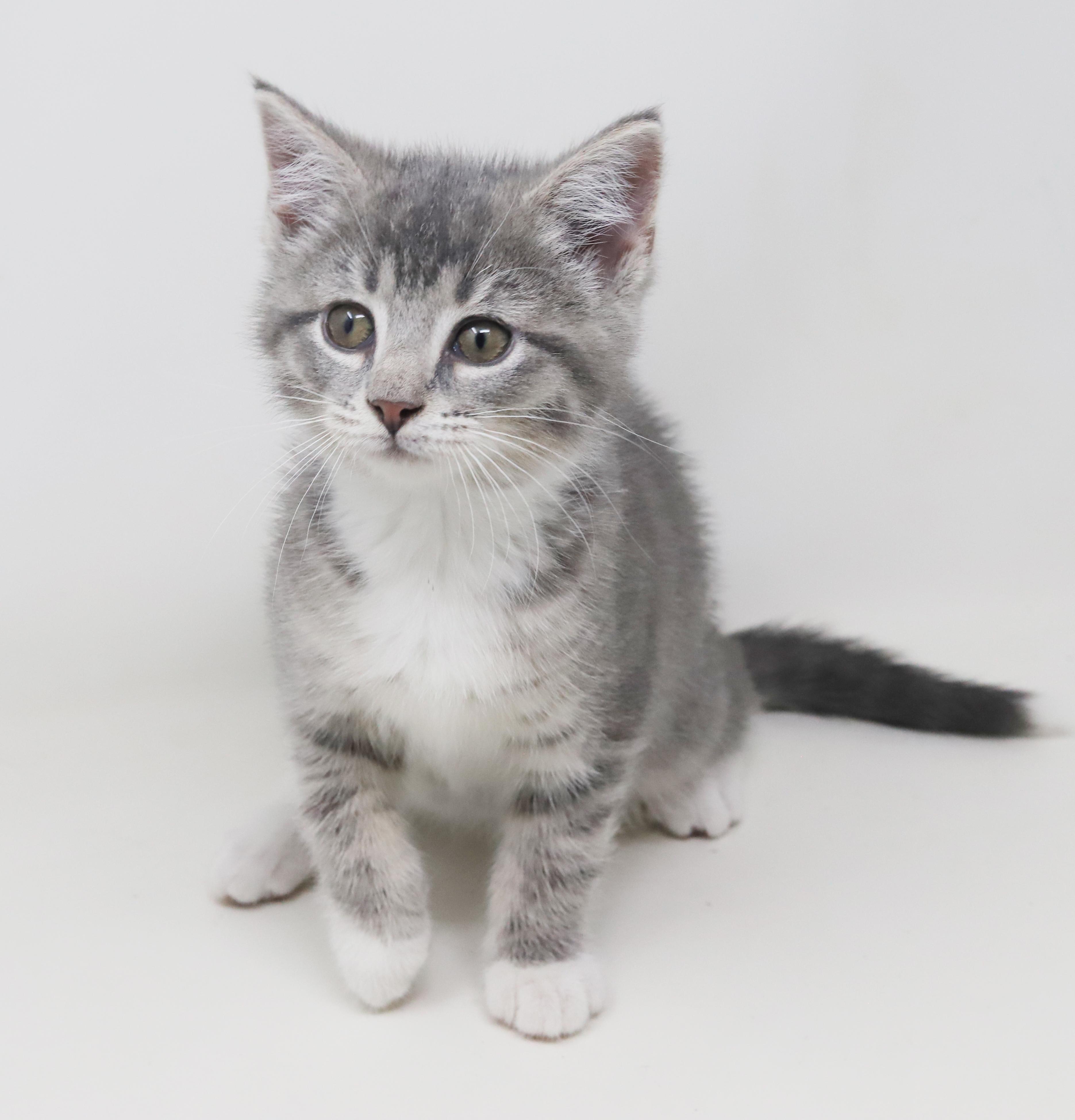 Bell And Doll  thumbnail 3