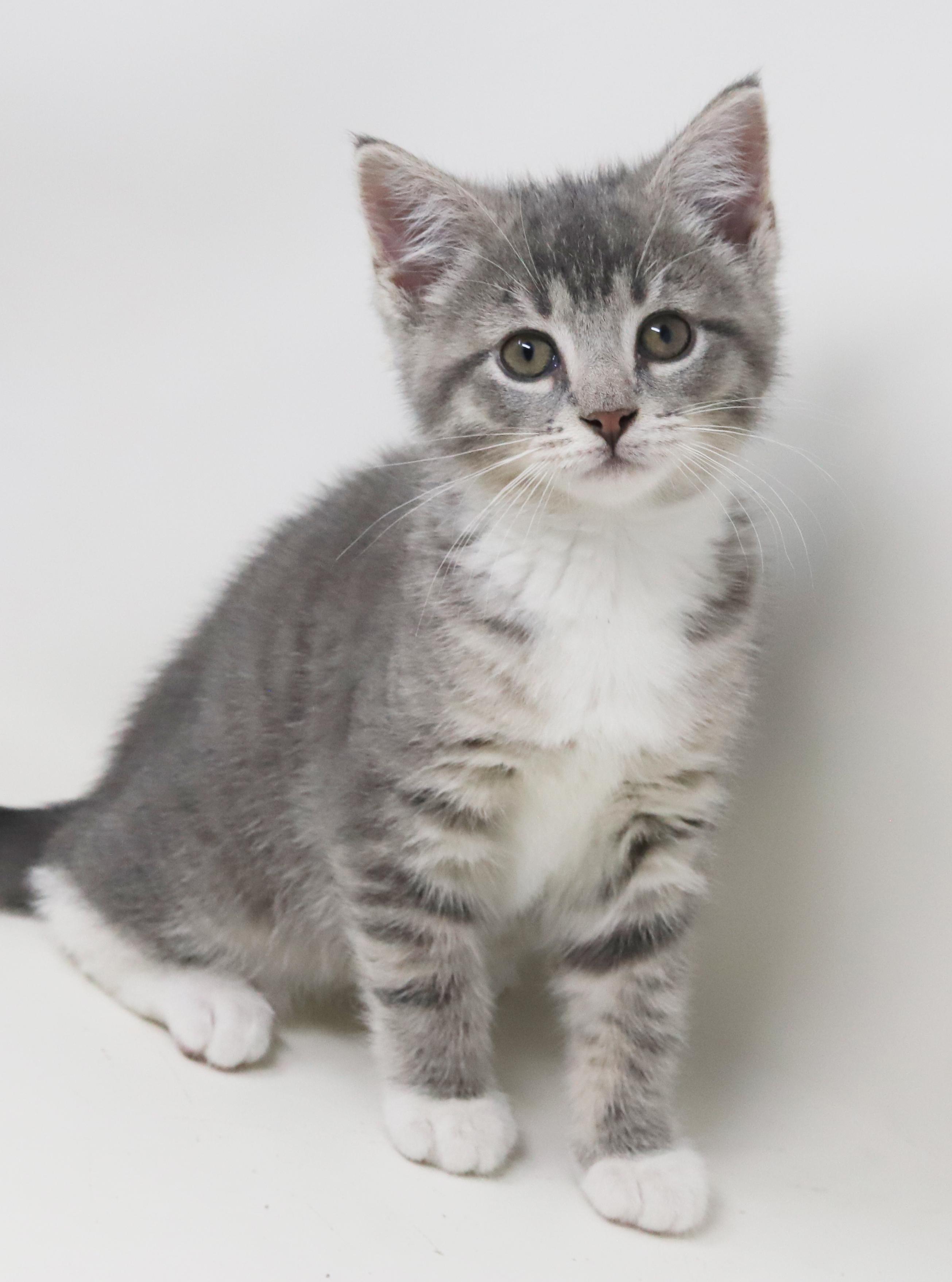 Bell And Doll  thumbnail 4