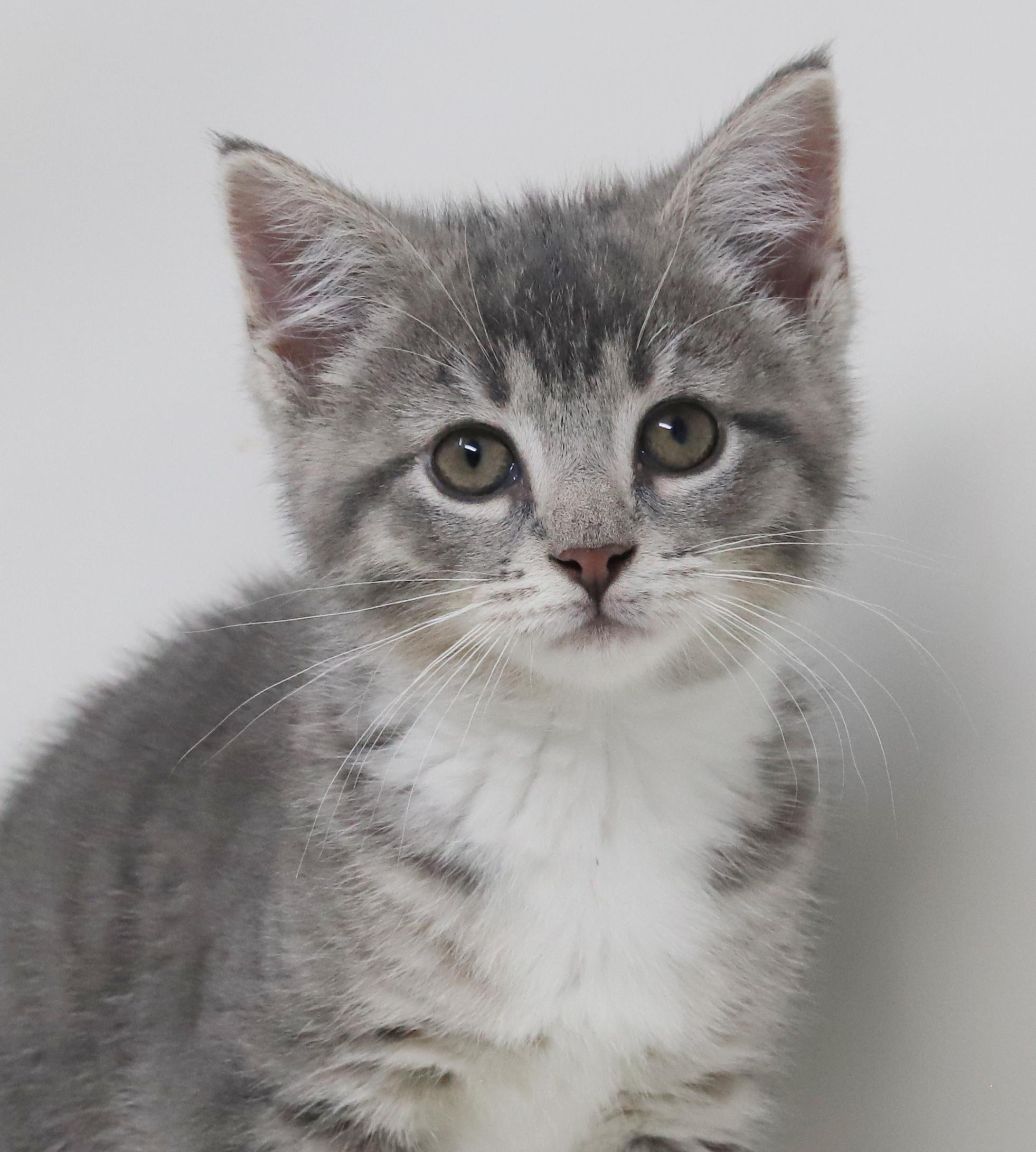 Bell And Doll  thumbnail 6