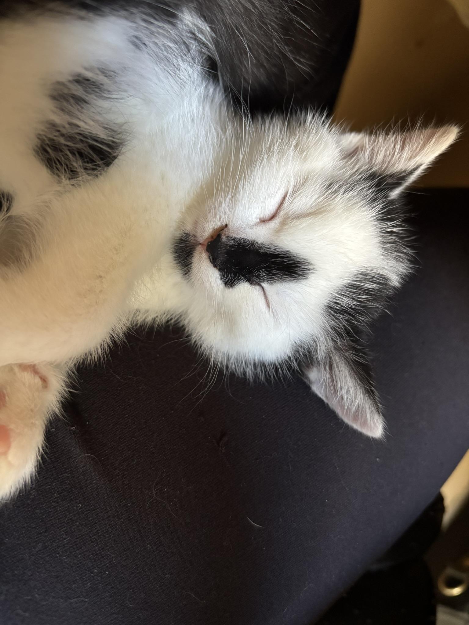 Split FA/FF ID 10552