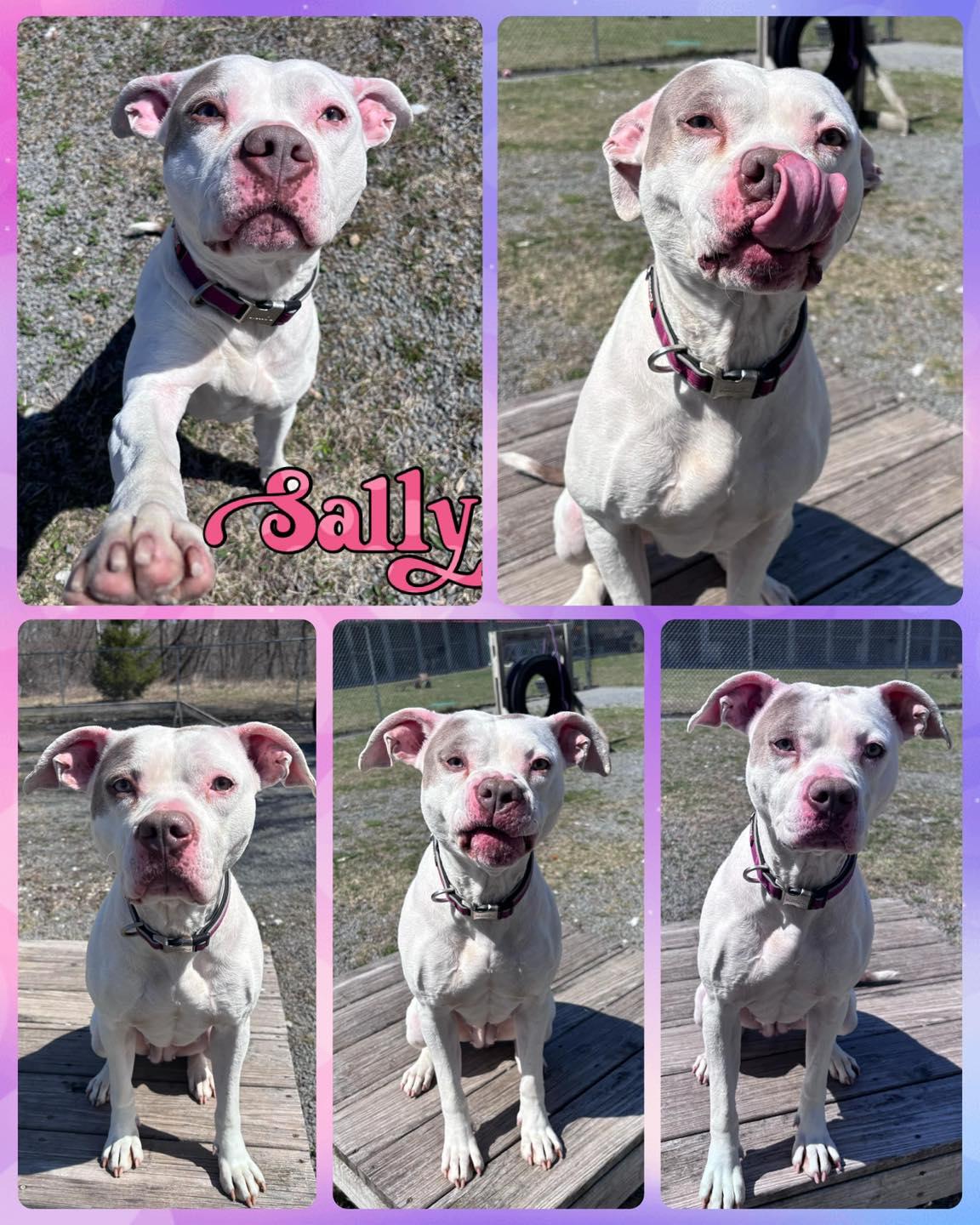 Sally