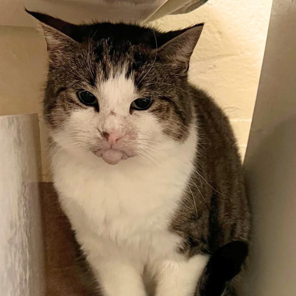 Ms. Loretta — thumbnail 2