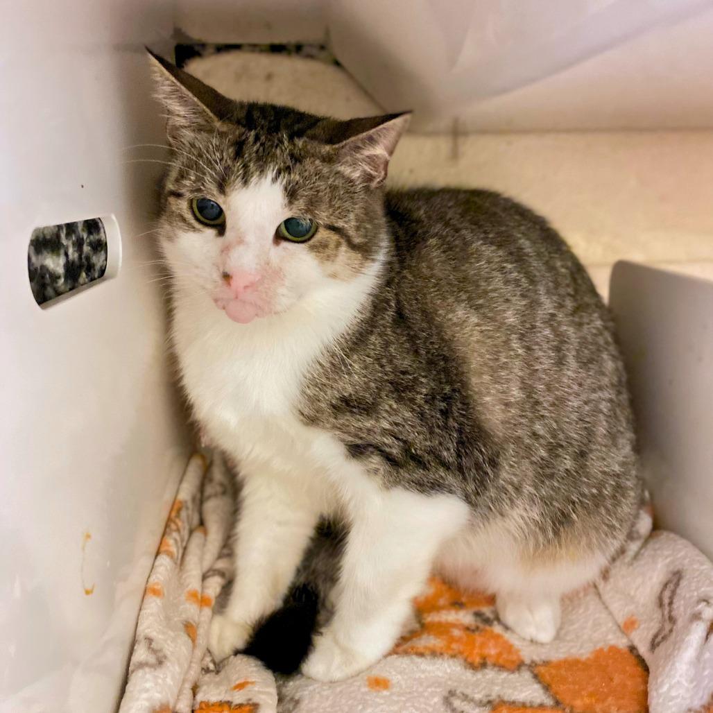 Ms. Loretta — thumbnail 3