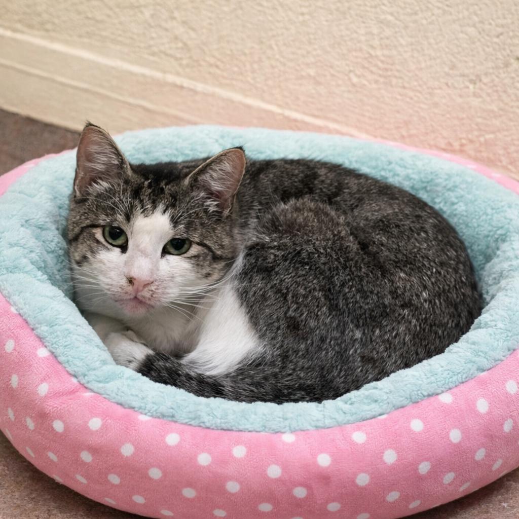 Ms. Loretta — thumbnail 4