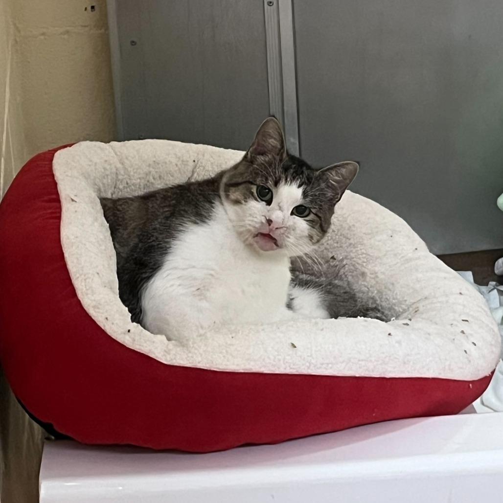 Ms. Loretta — thumbnail 5