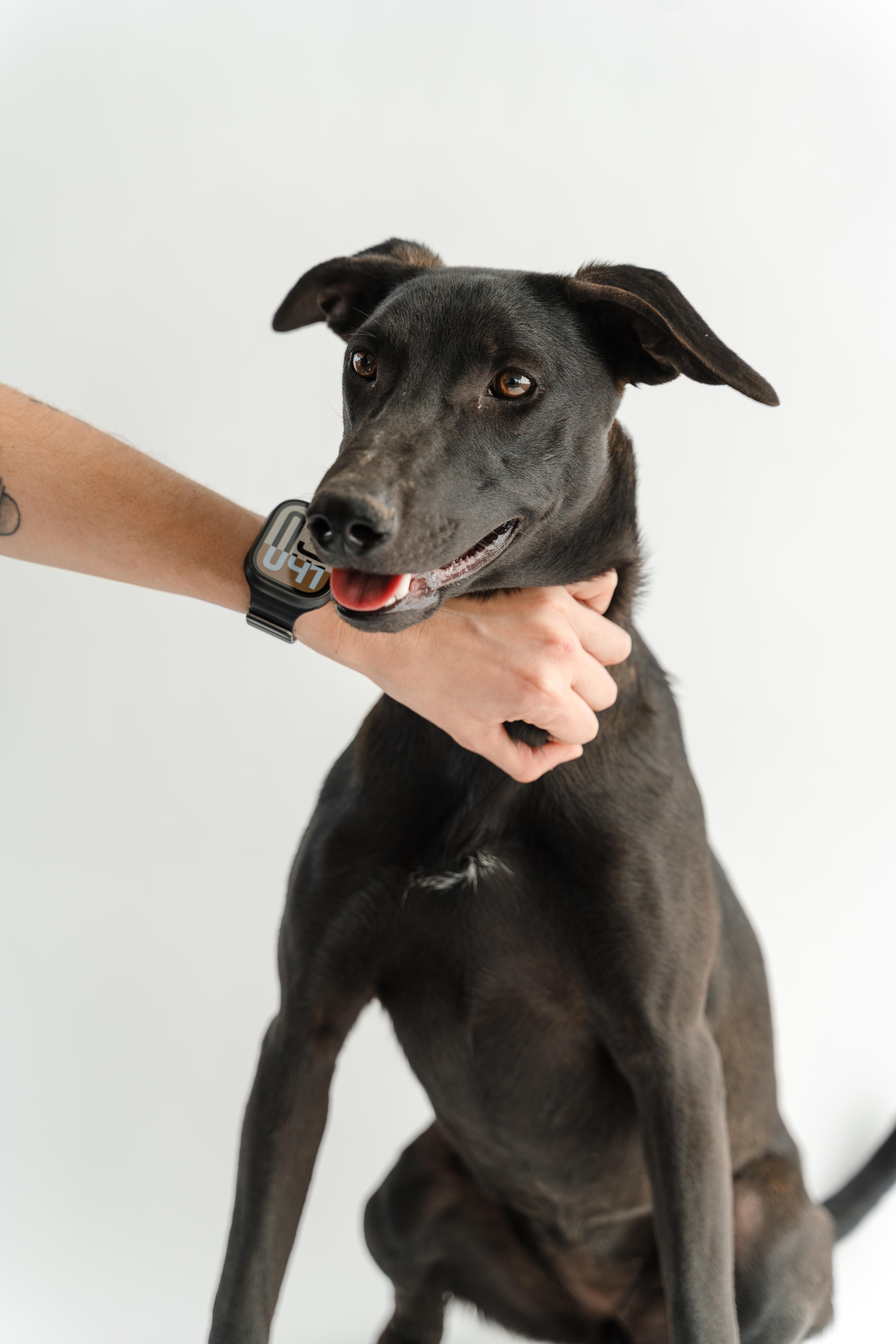 Gigi — thumbnail 4