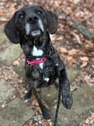 Darla photo 4