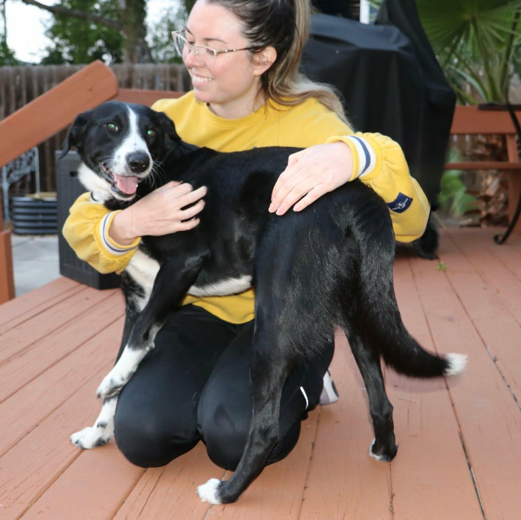 Benny with the Happy Paws, a Adoptable mixed breed in Baltimore, MD image 2/6