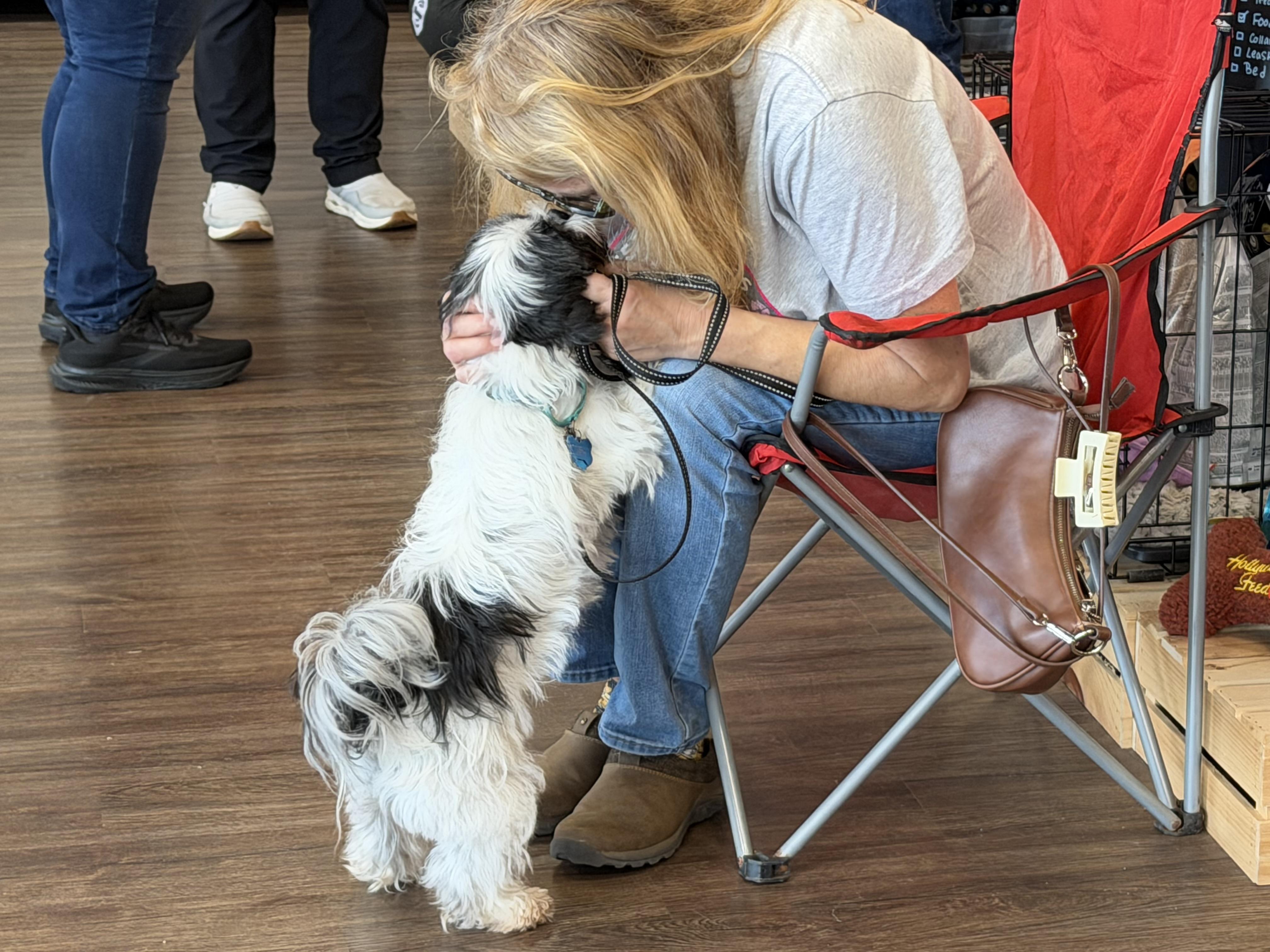Enlarge Willow, a Adoptable mixed breed in Aiken, SC image 5/5
