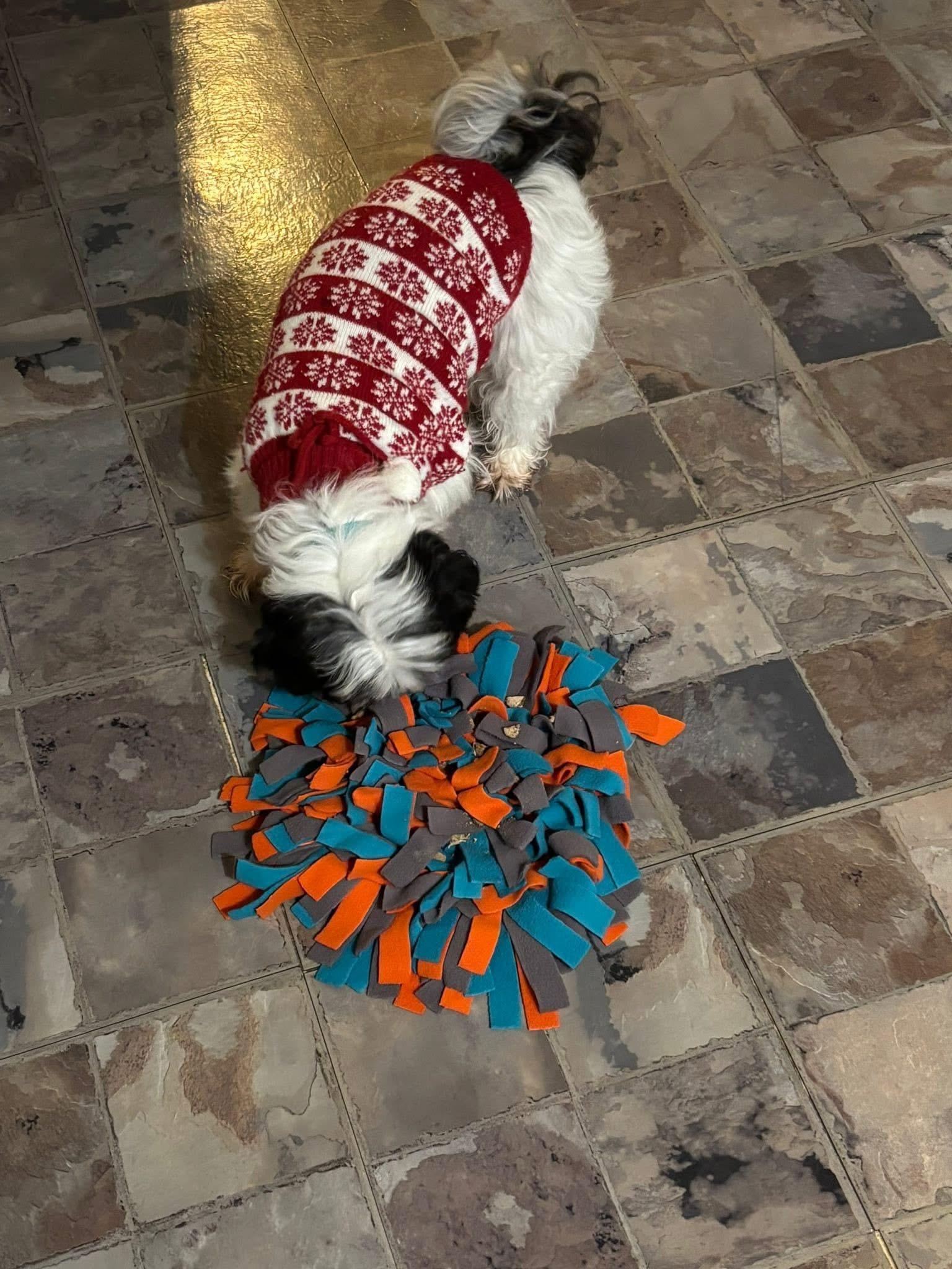 Willow, a Adoptable mixed breed in Aiken, SC image 3/5