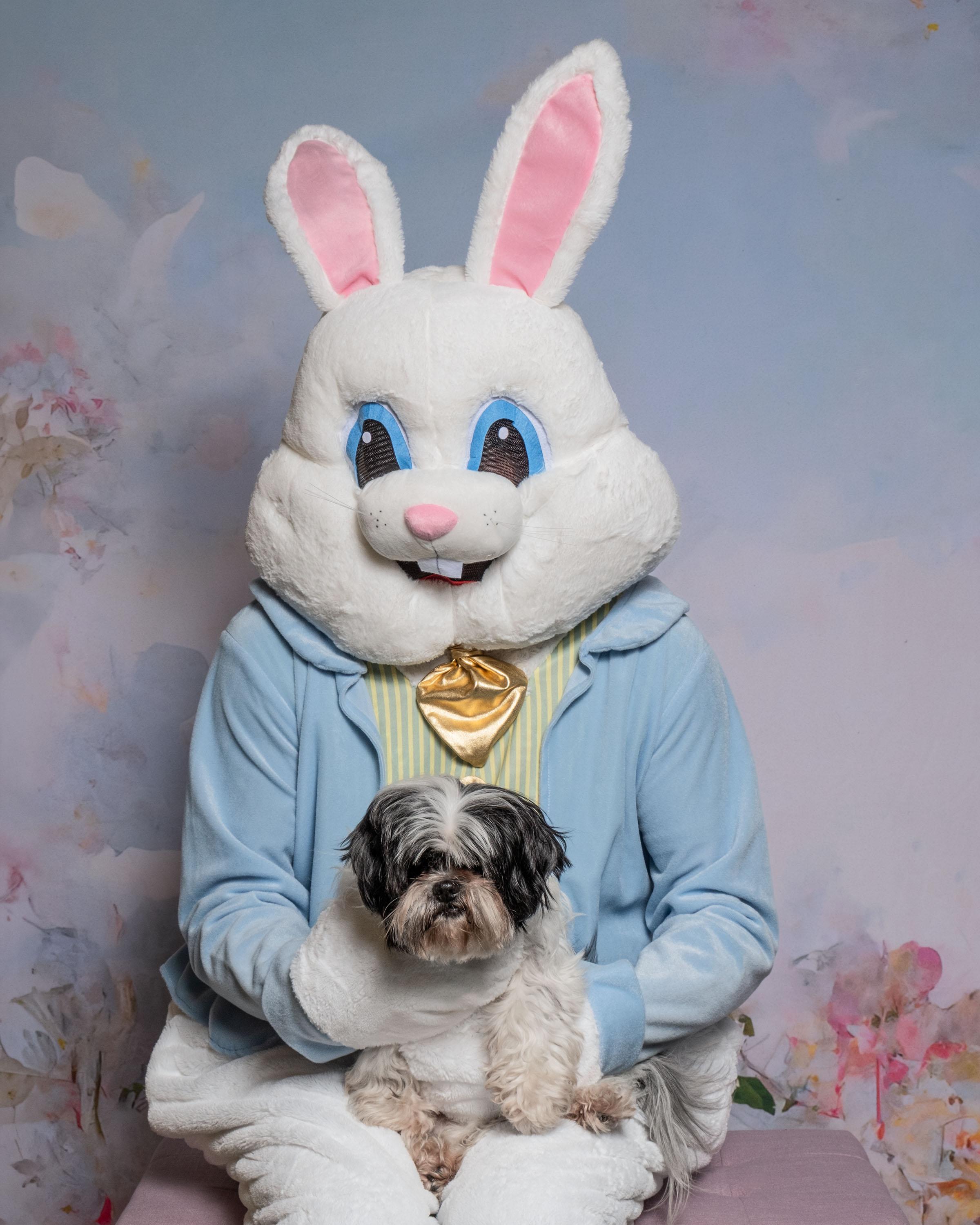 Enlarge Willow, a Adoptable mixed breed in Aiken, SC image 2/3