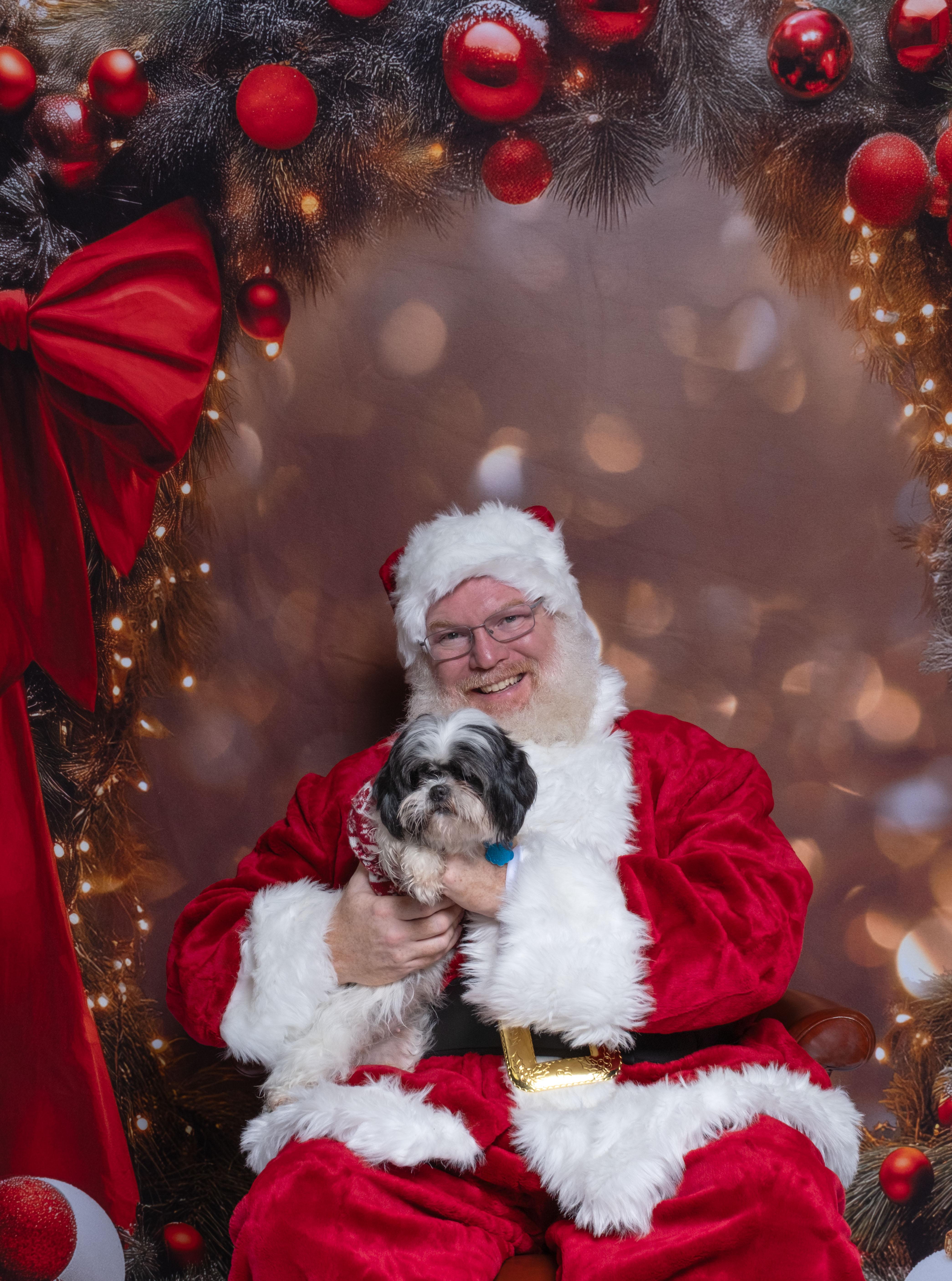 Willow, a Adoptable mixed breed in Aiken, SC image 5/5