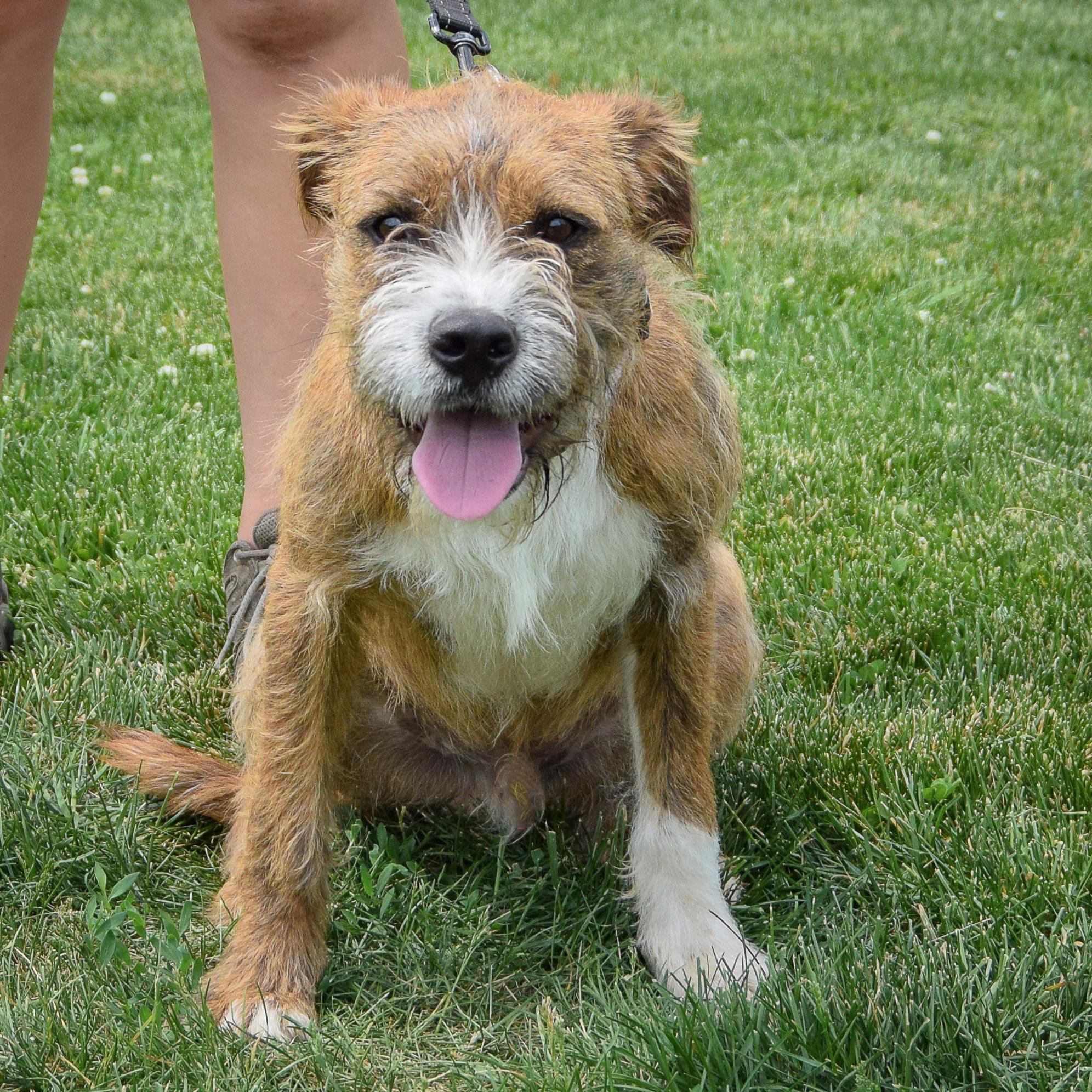 Benji