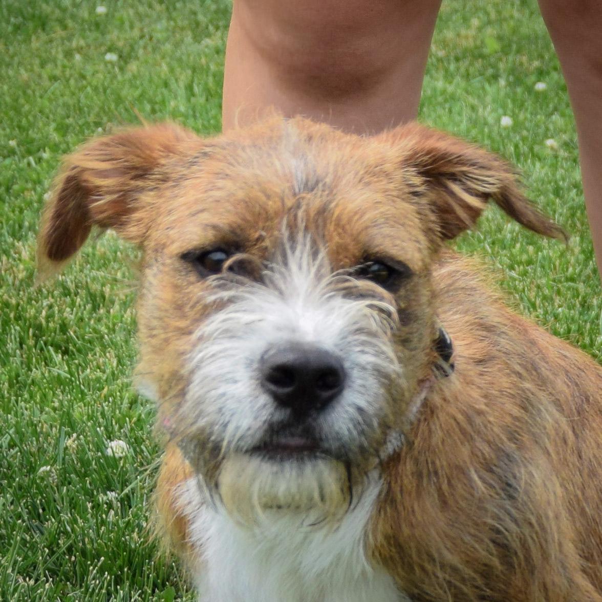 Benji