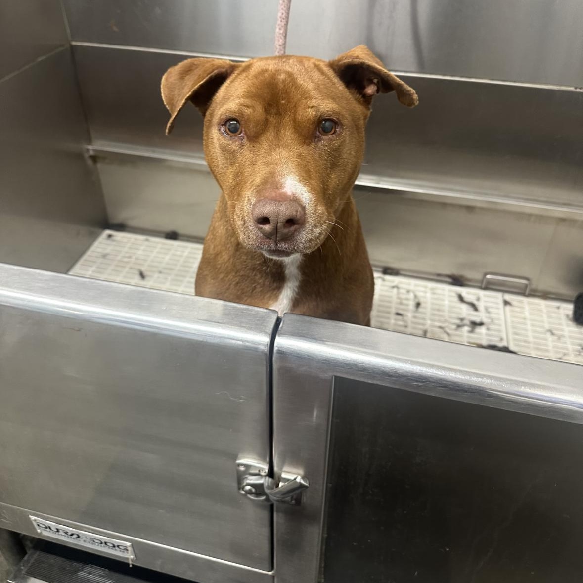 Luna — thumbnail 5