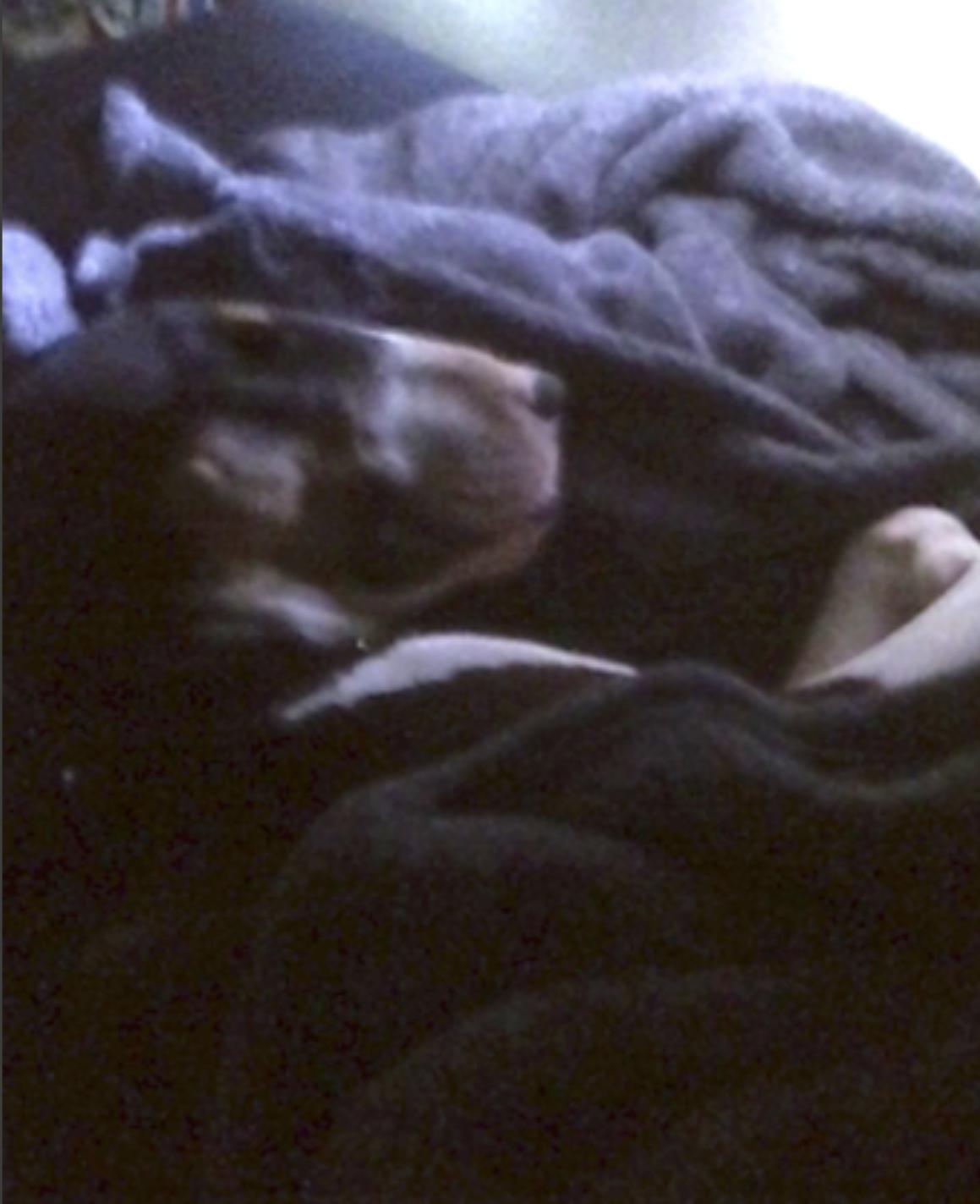 Zero — thumbnail 2