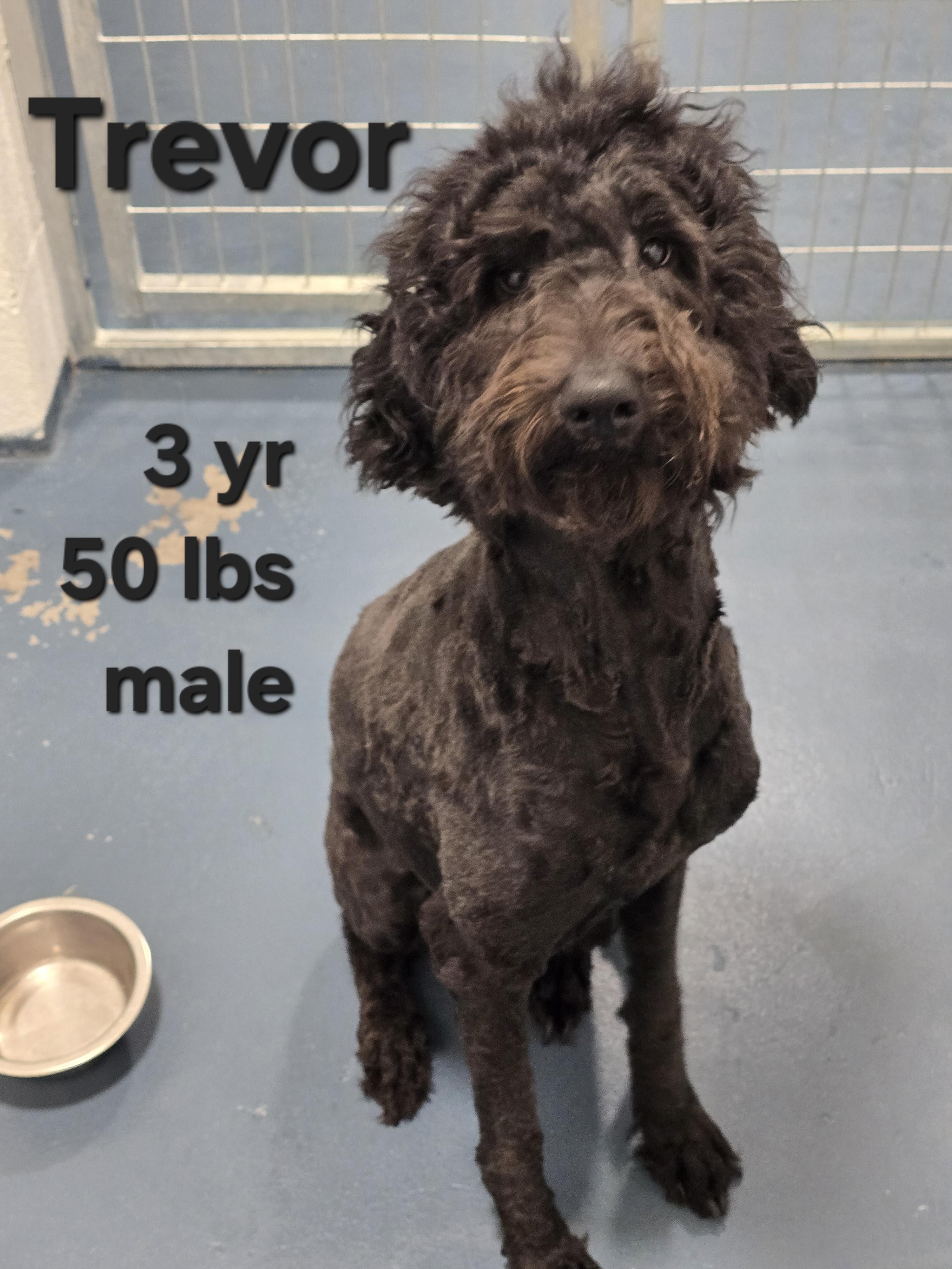 Trevor